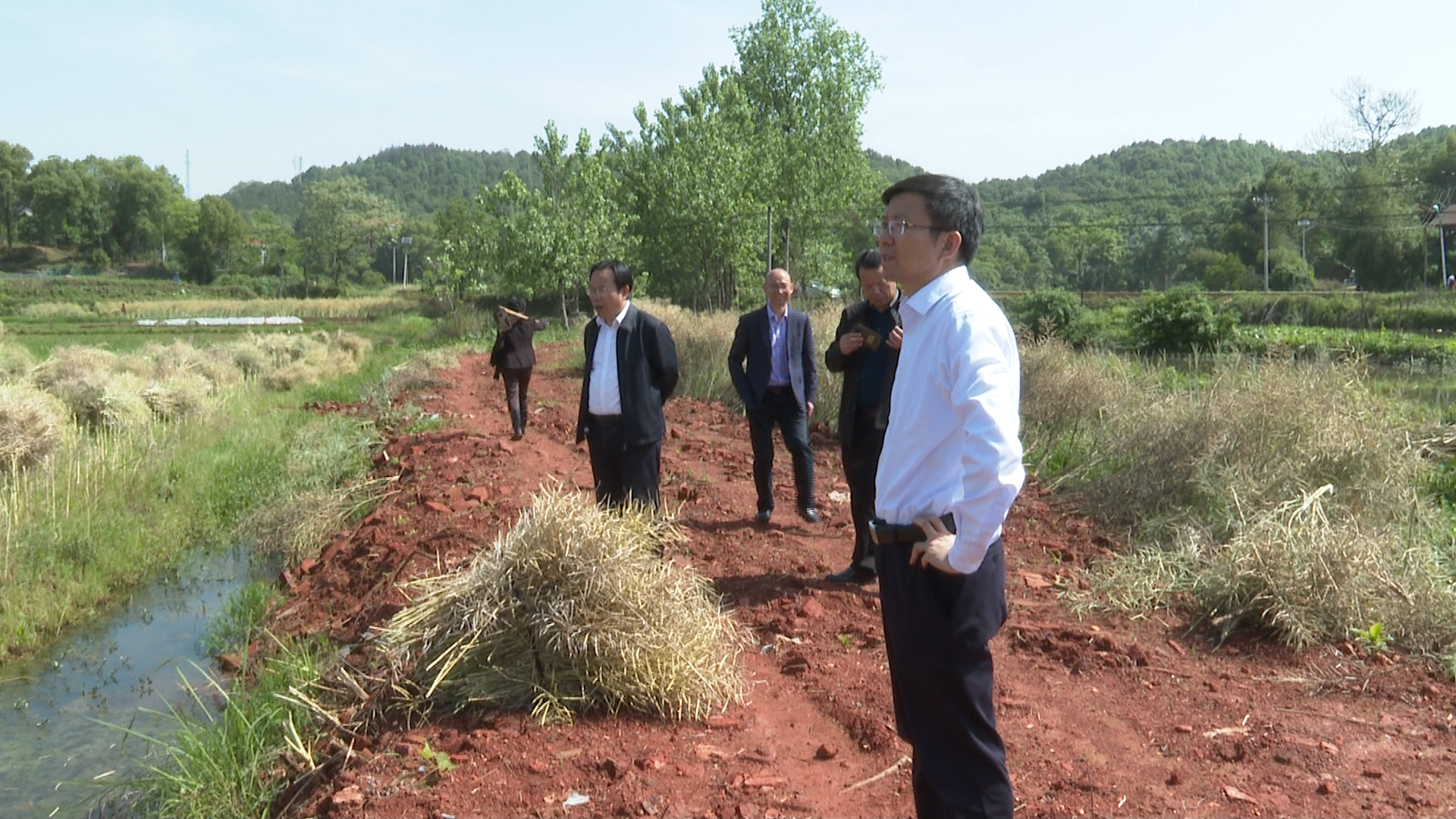 蒋良铁假期不松懈全力抓好春耕生产