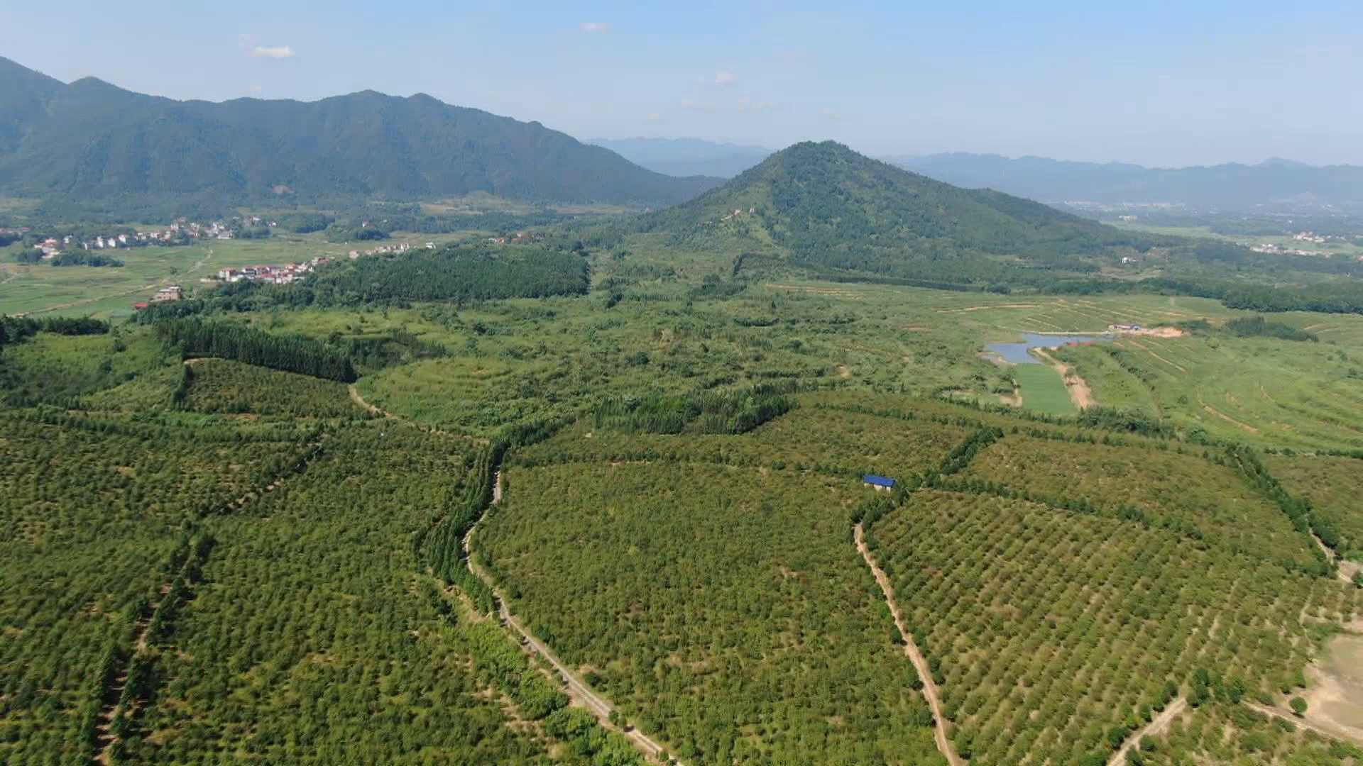 茶油格外香)提升精深加工能力 推动油茶全产业链发展_动态要闻_湖南省