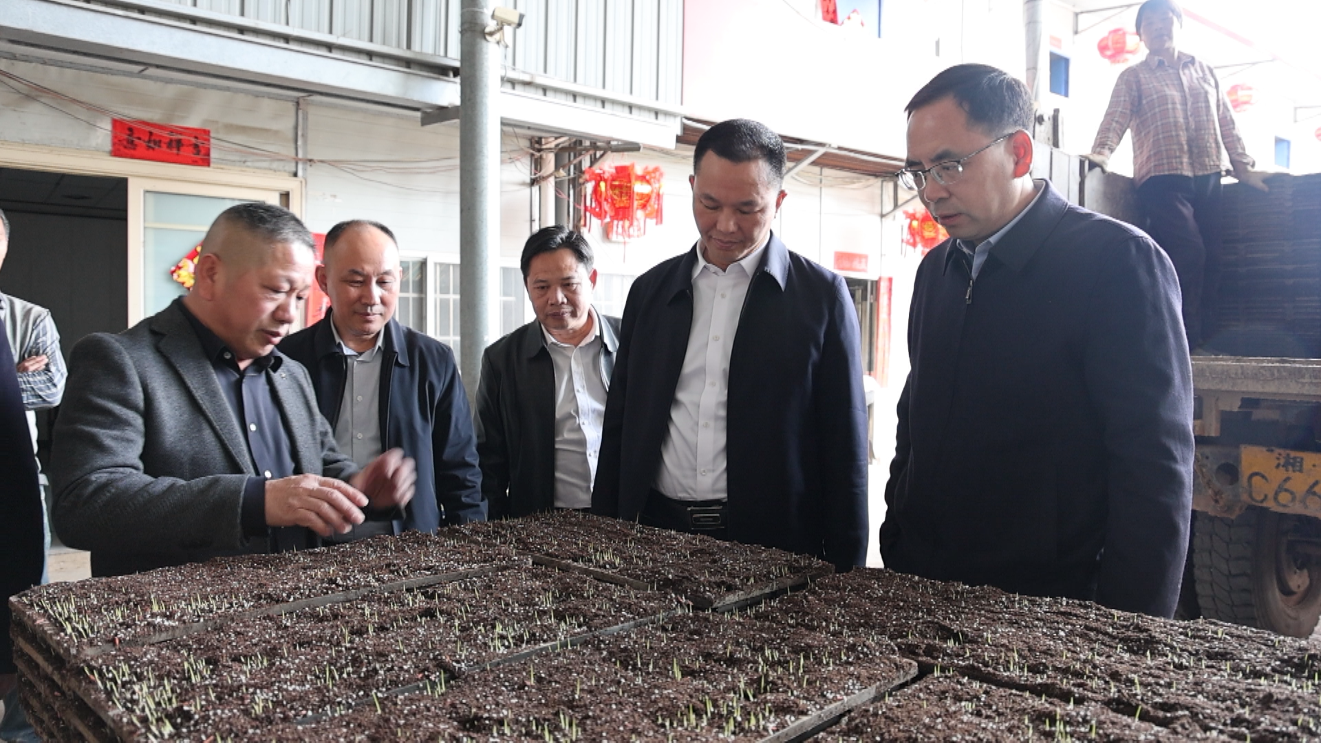 向子顺-2.bmp 向子顺-2.bmp