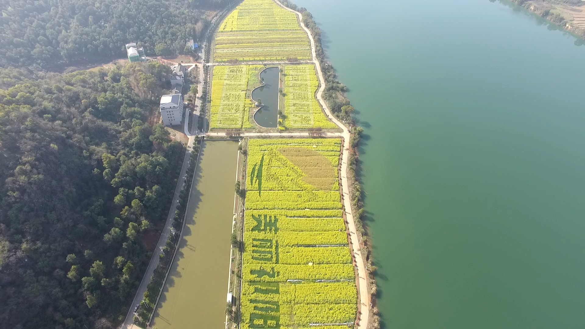 相约三家村祁阳市首届油菜花节暨农副产品推介活动正在紧锣密鼓筹备中