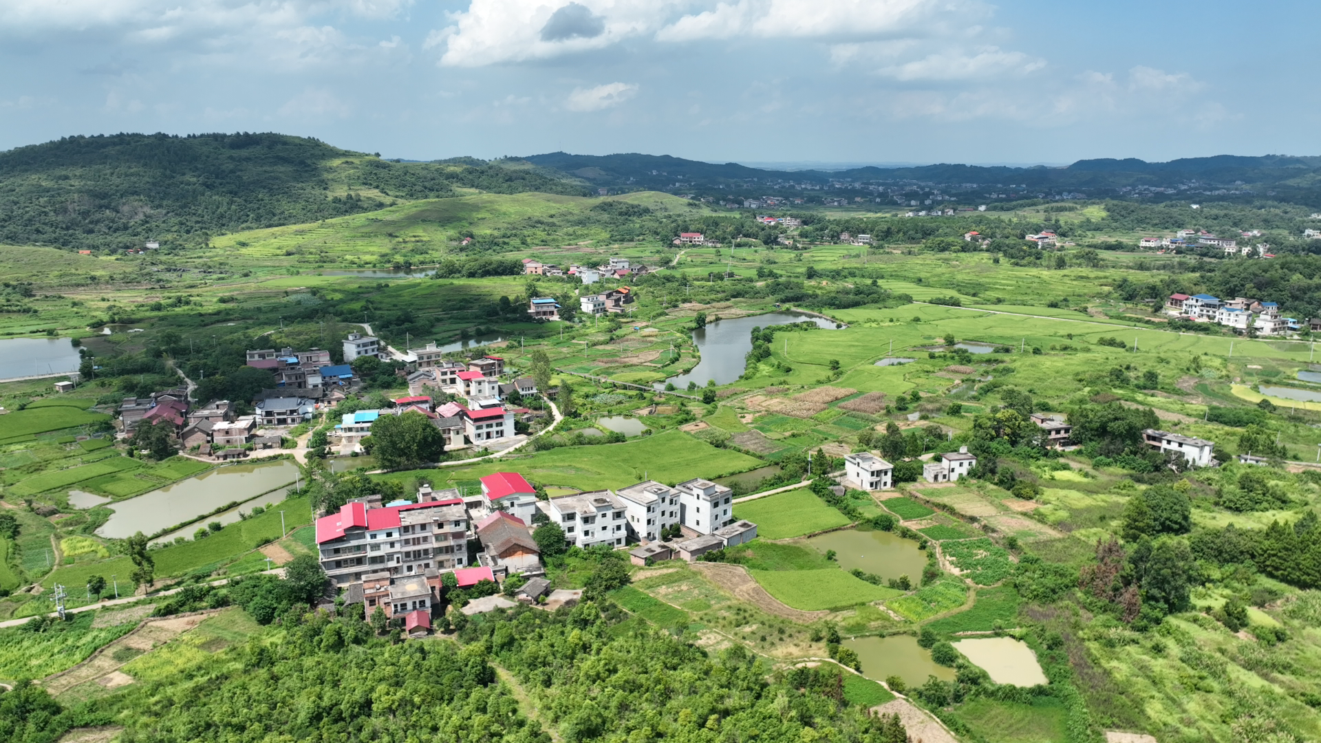 祁阳进宝塘镇阳光玫瑰葡萄迎丰收铺就乡村振兴路