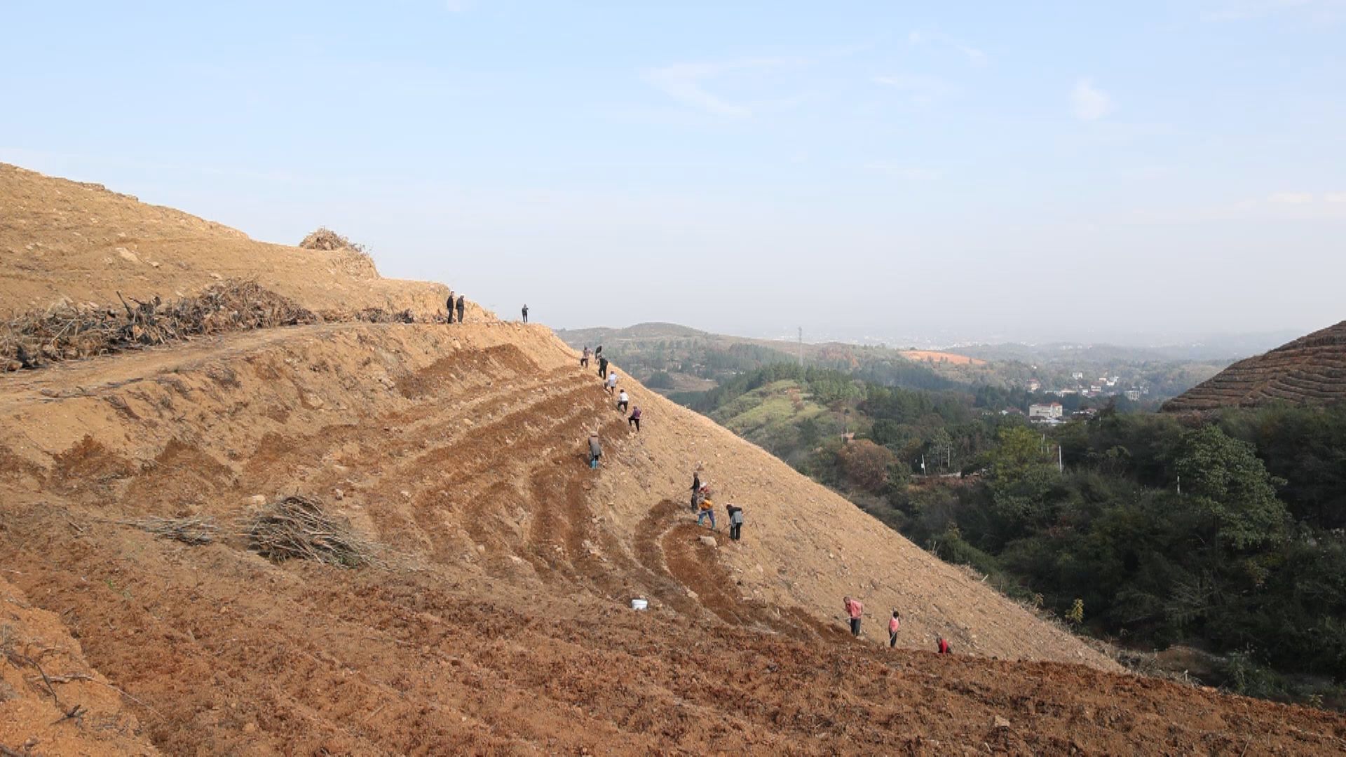 羊角塘镇:"四冬"农业生产干劲足_乡镇动态_湖南省永州市祁阳市人民