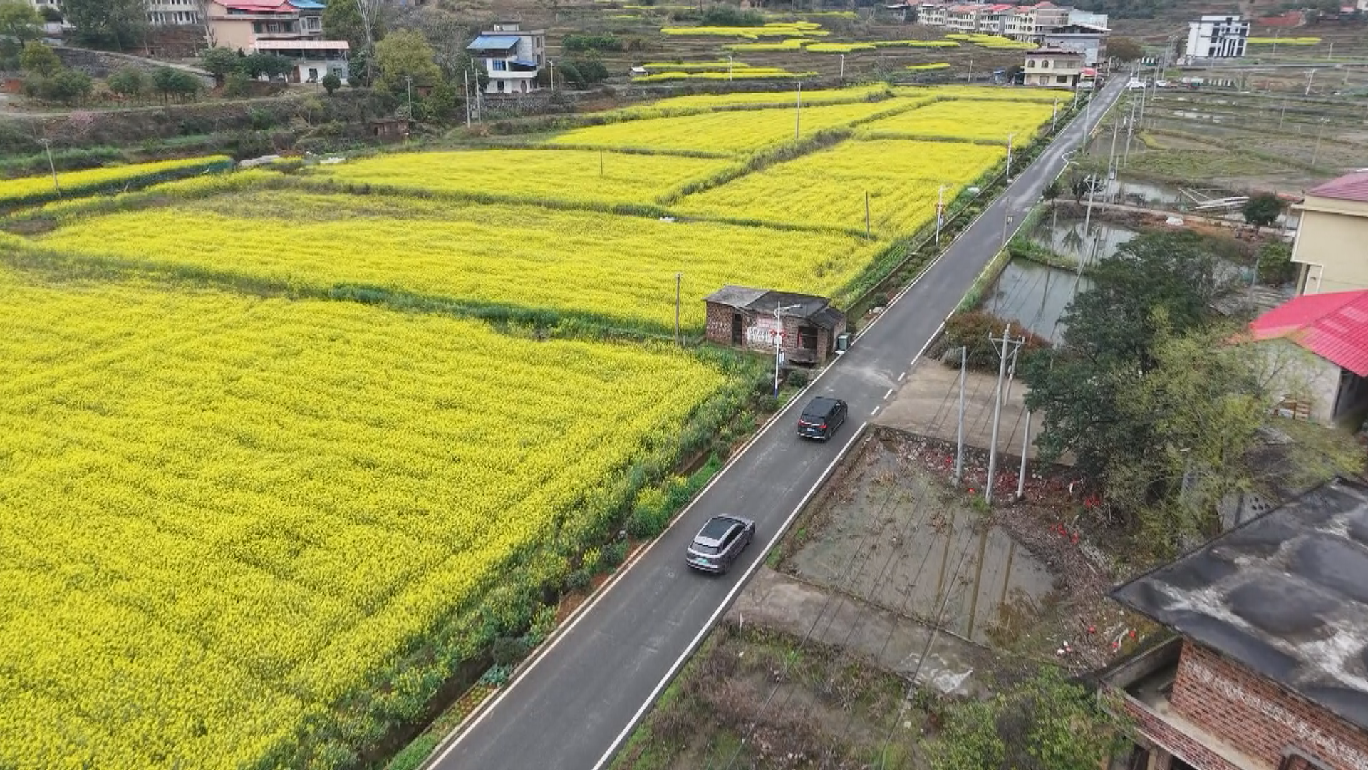 和美湘村-1.bmp 和美湘村-1.bmp